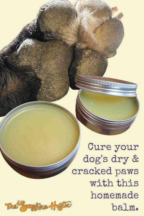 Paw Balm Recipe, Paw Cream, Homemade Balm, Diy Dog Shampoo, Dog Paw Care, Dog Balm, Dog Paw Balm, Meds For Dogs, Dog Treats Homemade Easy