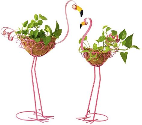 Amazon.com: Flamingo Garden Bird Planters, Set of 2 Metal Pink Flamingos Yard Ornaments with Basket, Adorable Flamingo Gifts Outdoor Decoration for Garden, Patio, Porch, Yard: Kitchen & Dining Flamingo Garden, Flamingo Birthday Party, Yard Ornaments, Flamingo Gifts, Flamingo Birthday, Plant Basket, Self Watering Planter, Coconut Fiber, Perfect Plants