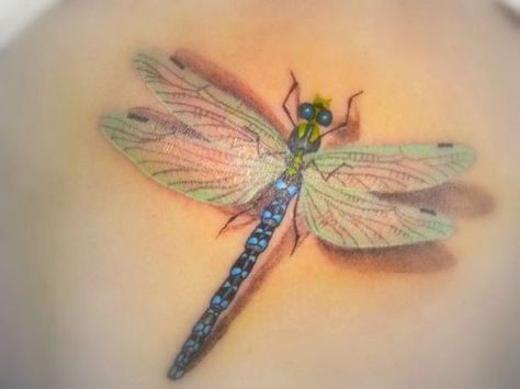 Tattoos are very fashionable. Although there are several ways to apply a tattoo on your body, some tattoo artists with great creativity, imagination and a steady hand are able to design and apply beautiful 3D Watercolor Dragonfly Tattoo, Catrina Tattoo, Flying Tattoo, Lion's Den, Dragonfly Tattoo Design, Watercolor Dragonfly, Polynesian Tattoos, Geometric Tattoos, Geniale Tattoos