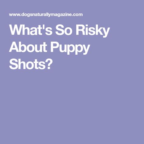 What's So Risky About Puppy Shots? Puppy Shots, Dog Care, New Puppy, Home A, Puppies, Dogs