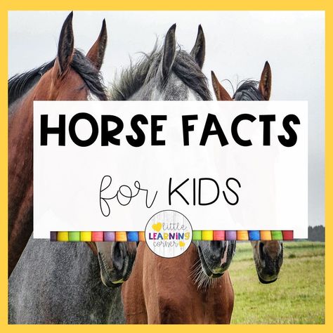 Learn about horses and ponies with these fun and easy horse facts for kids. Plus get your printable worksheets about horses for kids.... #horses #factsforkids Horse Art Projects For Kids, Horse Games For Kids, Horse Activities For Preschool, Horse Camp Crafts, Horse Activities For Kids, Horse Crafts For Kids, Horse Facts For Kids, Horse Worksheets, 4-h Poster Ideas