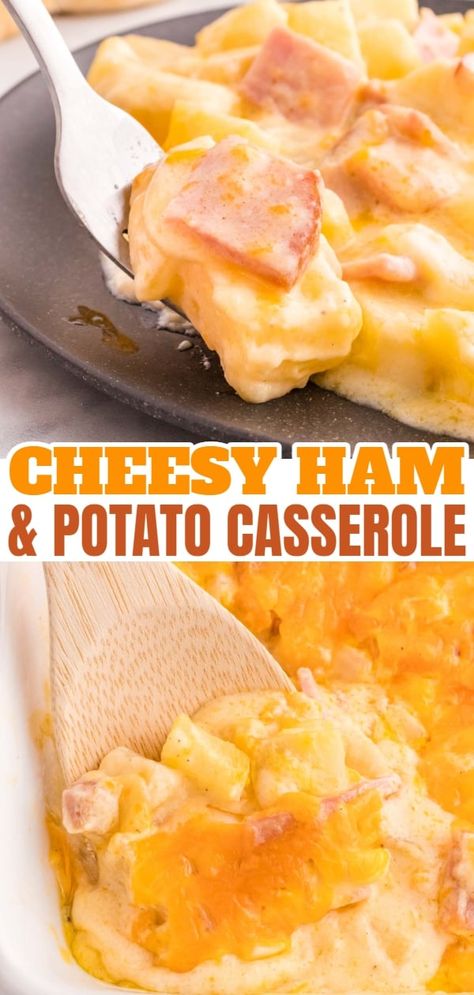 Ham And Cheese Potatoes, Cheesy Ham And Potatoes, Recipes With Diced Ham, Easy Scalloped Potatoes And Ham, Cheesy Scalloped Potatoes And Ham, Ham Meals, Ham Potato Casserole, Cheesy Ham And Potato Casserole, Ham And Potato Recipes