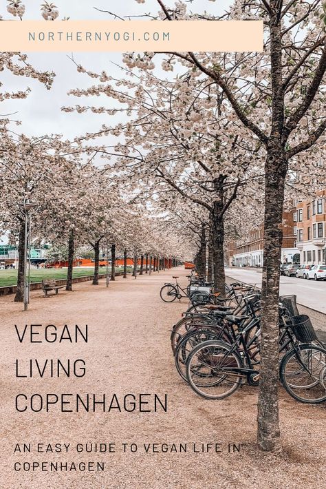 An easy guide to vegan life in Copenhagen, Denmark Copenhagen Vegan, Safest Places To Travel, Best Vegan Restaurants, Mini Carrots, Red Wine Sauce, Outside Seating, Autumn Salad, Vegan Living, Bike Lane