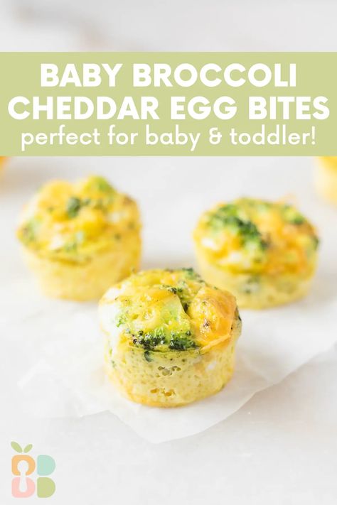 Broccoli cheddar egg bites made in mini muffin tins are a healthy and delicious breakfast or snack full of veggies that are great for baby led weaning and toddlers! Cheddar Egg Bites, Bliss Aesthetic, Broccoli Cheddar Bites, Croissants Breakfast, Baked Egg Muffins, Toddler Muffins, Broccoli Bites, Baby Muffins, Weaning Foods