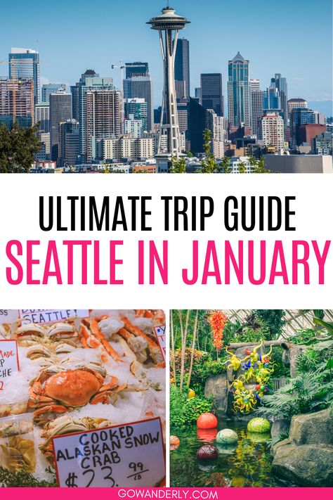 14 must-do activities in Seattle during January, perfect for your winter visit to the Emerald City. Seattle In January, Seattle In December, Seattle Winter, Washington Things To Do, Rain And Coffee, Seattle Waterfront, Woodland Park Zoo, About Rain, Tinted Glasses