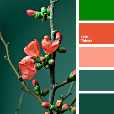 green and coral fall color palette - Google Search Warm Palette, Room Color Schemes, Bedroom Color Schemes, Color Palate, Design Seeds, Color Balance, Living Room Bathroom, Room Bathroom, Colour Schemes