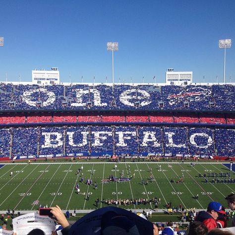 mattburn160's photo on Instagram Buffalo Bills Aesthetic, Buffalo Bills Stuff, Bills Mafia, Niagara Falls Ny, American Football League, Buffalo Bills Football, Bills Football, Nfl Buffalo Bills, Buffalo New York