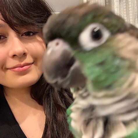 Youtube Artists, Jaiden Animations, Mother Photos, Father Photo, Famous Youtubers, Speed Art, Animated Icons, Animated Gif, Parrot