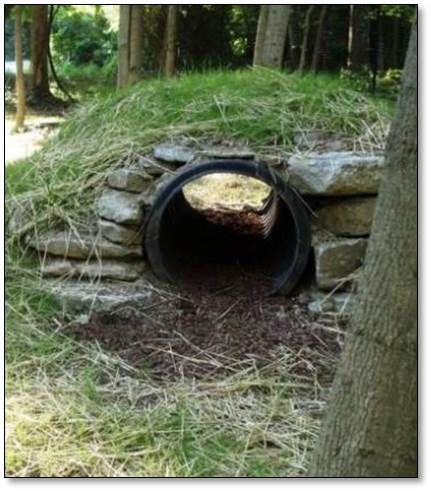 Bunny Tunnel Diy, Outdoor Rabbit Run, Bunny Sheds, Rabbit Playground, Rabbit Tunnel, Quail Coop, Outdoor Rabbit, Outdoor Rabbit Hutch, Rabbit Enclosure