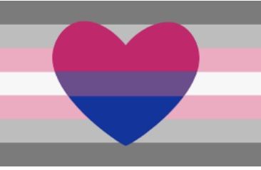 Demigirl Flag Aesthetic, Bi Flag Pfp, Demi Girl Flag, Demigirl Art, Demigirl Flag, Demi Girl, Girl Symbol, Bi Flag, Bisexual Flag