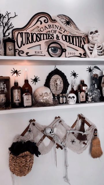 Oddities Halloween Decor, Oddities And Curiosities Decor, Oddities Decor Victorian, Oddity Shop, Spooky Baking, Curiosities And Oddities, Oddities And Curiosities, Oddities Collection, Oddities Decor