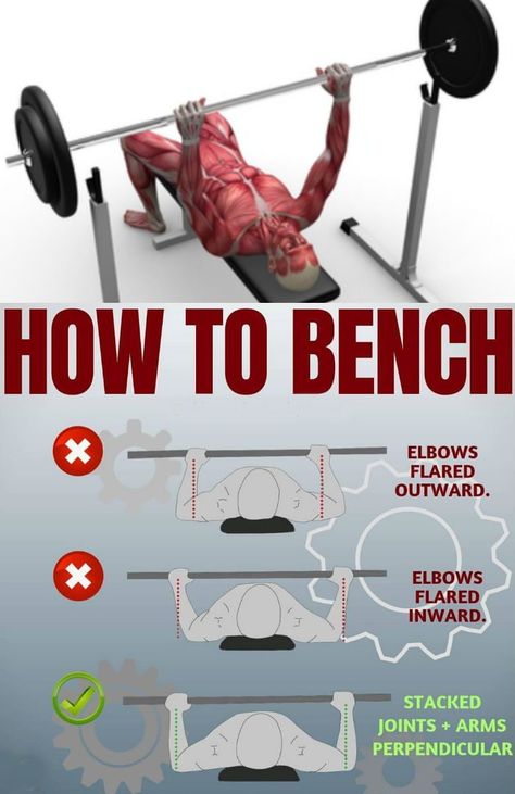 The bench press is one of the best exercises for developing overall upper body strength.It works your entire chest, shoulders, and triceps. If your approach to the bench press is to simply lay down flat on the bench, grab the bar, and start pumping out reps, then you’re not maximising the potential of the exercise if you don’t get your initial set up right, and have a handle on the proper form, then you can put yourself at risk of injury – especially once you start pushing heavier weights! Bench Press Form, Bench Press Workout, Weight Lifting Routine, Gym Workout Chart, Best Ab Workout, Gym Tips, Core Exercises, Fitness Trends, Body Strength