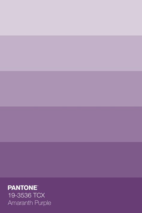 Couleur Violet Pastel, Violet Pallet Color, Purple Pastel Color Palette, Pastel Purple Color Palette, Light Purple Color Palette, Colour Palette Purple, Lavanda Color, Lilac Palette, Pastel Pantone