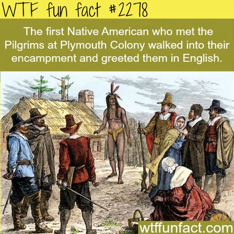 Native American Facts, The Pilgrims, Politically Correct, Facts Funny, Unbelievable Facts, History Humor, Random Facts, We Are The World, Science Facts