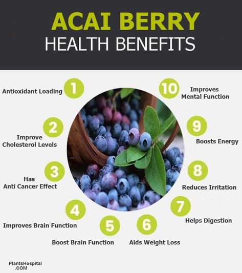 Super Nutrient Spotlight: ACAI Berry / https://www.facebook.com/GrabbagreenPhoenixAZ/ Acai Berry Benefits, Benefits Of Acai, What Is Acai, Berry Benefits, Acai Benefits, Short Shelf, Pineapple Benefits, Acai Bowls Recipe, Healthy Superfoods