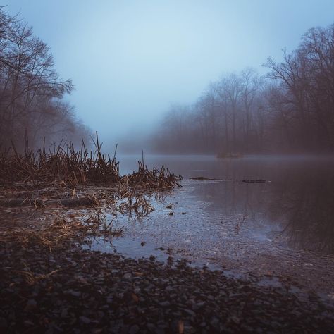 Zach Ellis on Instagram: “Dense fog at Lake Surprise.” Dense Fog, Beautiful Places, Lake, Water, On Instagram, Instagram