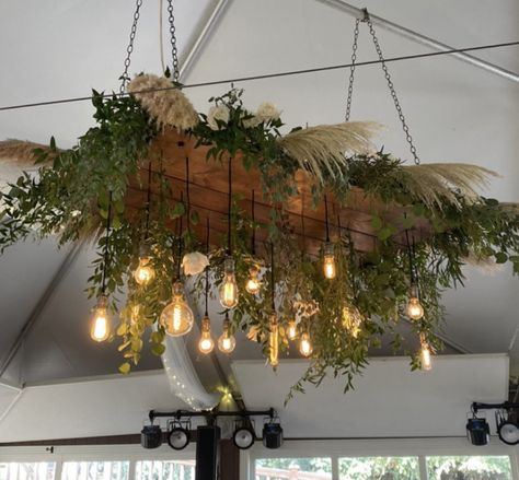 Forestcore Aesthetic Room, Plant Chandelier Indoor, Plant Ceiling Decor, Hanging Decor Ideas, Plant Chandelier, Vintage Pendant Lights, Farmhouse Chandeliers, Modern Pendant Lights, Rustic Lanterns