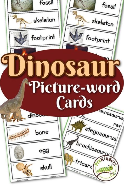 For your next dinosaur theme, consider using these word cards by PreKinders! You'll find two sets within this packet. One set contains 12 cards with really long dinosaur names and the other set contains words related to dinosaurs. These are perfect for teaching on these crazy creatures! Dinosaur Names, Crazy Creatures, Dinosaur Activities Preschool, Christian Preschool, Dinosaurs Preschool, Dinosaur Cards, Free Preschool Printables, Dinosaur Pictures, Dinosaur Activities