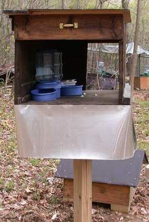 Outside Cat Feeding Station, Outdoor Feeding Station For Cats, Feral Cat Feeding Station Diy, Outdoor Cat Feeding Station Diy, Raccoon Proof Cat Feeder, Outdoor Cat Feeding Station, Cat Food Area, Feral Cat Feeding Station, Cat Feeding Station Dog Proof