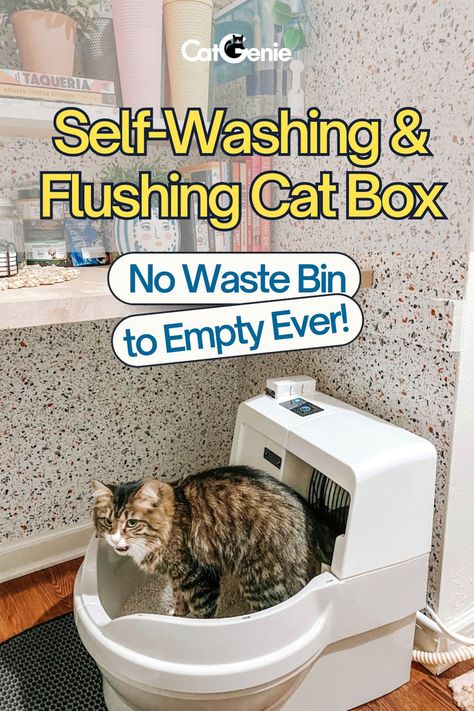 Self washing and flushing cat box. no waste bin to empty ever. Homemade Litter Boxes Diy, Elevated Cat Litter Box Ideas, Best Self Cleaning Cat Litter Boxes, Best Cat Litter Boxes, Automatic Cat Litter Box Ideas, Cat Litter Room Ideas, Cat Litter Set Up, Self Cleaning Litter Box Cats, Outdoor Cat Litter Box Ideas