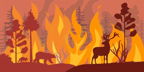 Silhouettes of wild animals at forest fire Fire Safety Poster, Fire Animation, Forest Drawing, Fire Drawing, Desain Buklet, Nature Art Drawings, Fire Painting, Wild Fire, Motion Graphics Inspiration