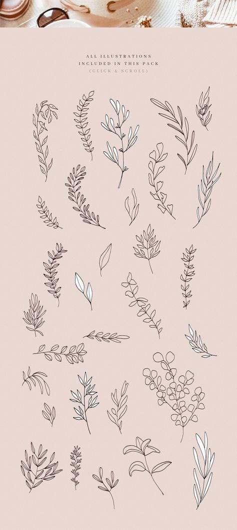 Elegant Branch Illustrations by amber&ink on @creativemarket Branch Illustration, Olive Branch Tattoo, Herbs Illustration, Branding Wedding, Branch Tattoo, Floral Logo Design, Outline Illustration, Floral Logo, Dream Tattoos