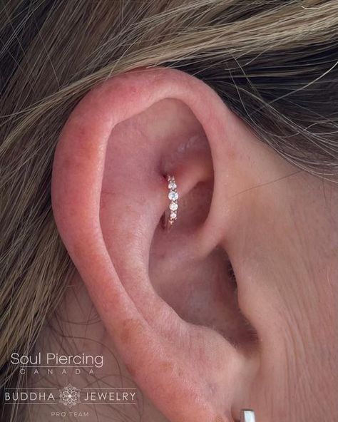 Piercing Aesthetic, Ear Styling, Minimalist Ear Piercings, Earring Stacks, Unique Ear Piercings, Curated Ear, Cute Ear Piercings, Ear Style, Piercing Ring