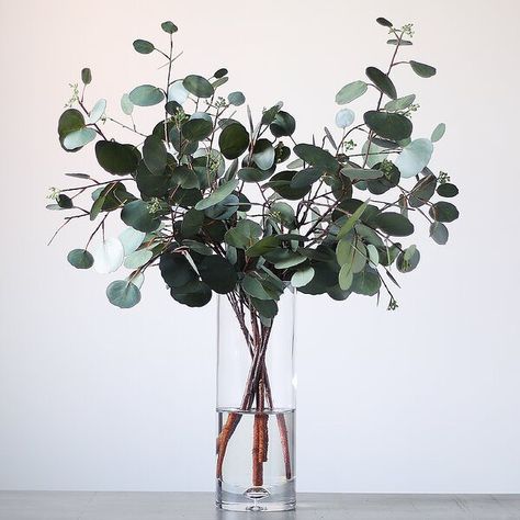 COMPANY INTERIORS on Instagram: “Eucalyptus all in stock and shipping through lockdown!” Luxury Glassware, Eucalyptus Arrangement, Large Glass Vase, Clear Vase, Flower Vase Arrangements, Forever Flowers, Real Touch Flowers, Vase Arrangements, 수채화 그림