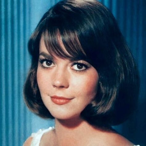 Natalie Wood on Instagram: "Natalie started the 1960s with high drama and musicals and then took on a few comedic roles - even of the slapstick kind.  It has been said that comedy is the most difficult acting genre but that didn’t matter.  Natalie always challenged herself to improve whether it be on film or in life and encouraged others to do the same too.   #nataliewood #lamourmere #nataliefragrance #splendorinthegrass #westsidestory #gypsy #sexandthesinglegirl #penelope #drama #musicals #comedy #classicmovies #classicmoviestars #nataliewoodwhatremainsbehind #morethanlovebook" Natalie Wood Hair, Life Drawings, Old Hollywood Actresses, Splendour In The Grass, Natalie Wood, Classic Movie Stars, Time Period, Intj, On Film