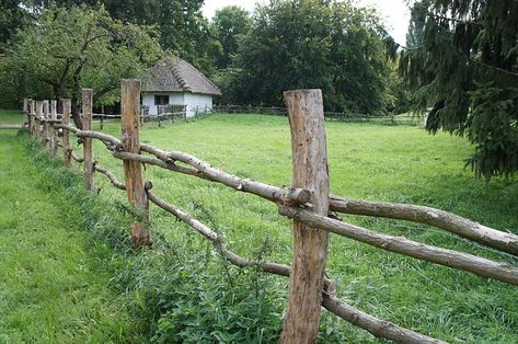 Branch Fence, Rustic Garden Fence, Garden Gates And Fencing, St David, Country Fences, Rustic Fence, Garden Venue, Diy Fence, Farm Fence