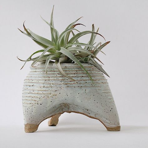 Handmade ceramic planter displayed with an airplant Funky Pottery, Pottery Plant Pots, Large Ceramic Planters, Handmade Ceramic Planters, Pottery Pots, Bamboo Brush, Organic Ceramics, Handmade Planter, Ceramic Plant Pots