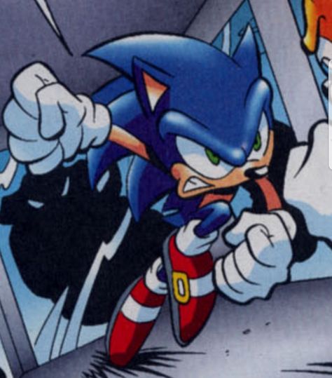 Sonic Archie Comics, Sonic Family, Black Pegasus, Sonic And Knuckles, Scourge The Hedgehog, Sonic The Hedgehog Art, Sonic Icon, Archie Sonic, Sonic Comic