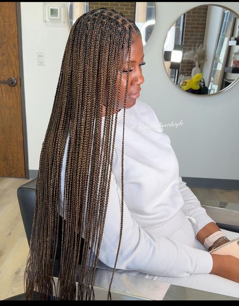 Dark Brown Knotless Braids, Knotless Braids Color Ideas, Mixed Colour Braids, Protecting Hairstyles, Mixed Color Braids, Braids Hairstyles For Black Women, Color Braids, Braiding Hair Colors, Protective Style Braids