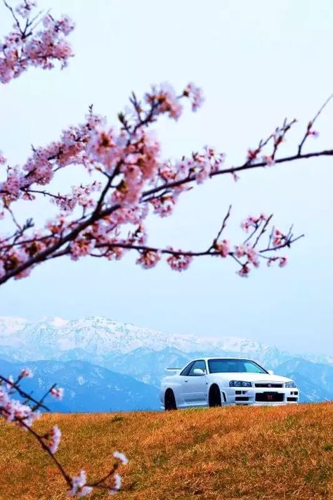 r/JDM Phone Wallpaper Dump - Imgur 240z Datsun, Nissan Gtr Wallpapers, Nissan R34, Nissan Gtr R34, R34 Skyline, Skyline Gtr R34, R34 Gtr, Japanese Sports Cars, Nissan Skyline Gt R