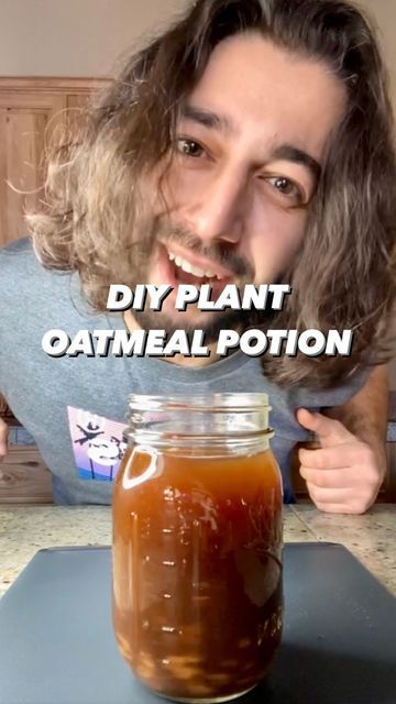 Oat Plant, Apple Crisp Bars Recipe, Homemade Plant Food, Upcycle Hacks, Used Tea Bags, Gumbo Recipe, Natural Fertilizer, Fertilizer For Plants, Organic Garden