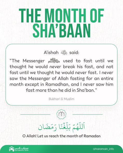 The month of Shaban #Allah #Quran #hadeeth #sunnah #quranverse #quranquotes #muslim #islam #islamicquotes #dua #islamicreminders #muslimpins #SubhanAllah #Alhamdulilaah #Bismillah #Islamicpins #islamicinfo #tawheed #aqeedah #tawakkul #taqwa Shaban Month Quotes, Shaban Month, Islamic Months, Ramadan Day, Islamic Inspirational Quotes, Islamic Quotes, Words Quotes, Ramadan, Quran