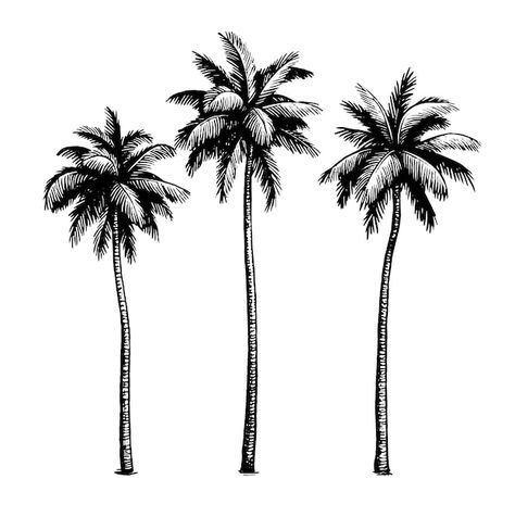 Vecteur cocotiers. illustration d'encre ... | Premium Vector #Freepik #vector #plage-vintage #palmier-illustration #plage-palmier #palmier-dessin Design Graphique, Premium Vector, Palm Trees, Save The Date, Geometry, Plant Leaves, Trees, Illustrations, Tattoos