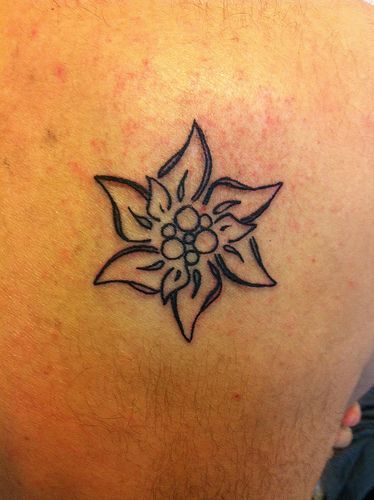 Perfect Tat of an edelweiss Edelweiss Tattoo, Paintbrush Tattoo, German Tattoo, Bow Tattoo Designs, Irish Tattoos, Tattoo Skin, Bow Tattoo, Diy Tattoo, Time Tattoos