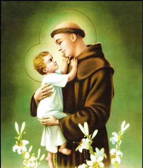 A STUDENT PRAYER TO SAINT ANTHONY St Anthony Prayer, Prayer For Students, Saint Antony, Lost Things, Saint Anthony Of Padua, Catholic Pictures, St Anthony, Saint Anthony, Prayer Book