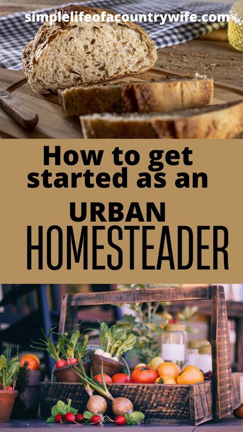 urban homesteading Backyard Homesteading For Beginners, Apartment Homesteading For Beginners, Urban Homesteading For Beginners, Apartment Farming, Homesteaders Kitchen, Homesteading Apartment, Homestead Meals, Homestead 101, Apartment Homestead