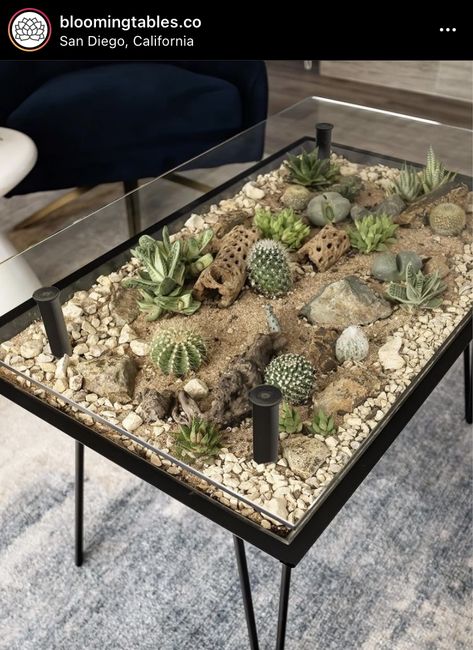 Terrarium Table Diy, Blooming Table, Succulent Plants Indoor, Styling Plants, Plants In Bedroom, Succulent Table, Terrarium Table, Indoor Plants Decor, Indoor Plants Styling