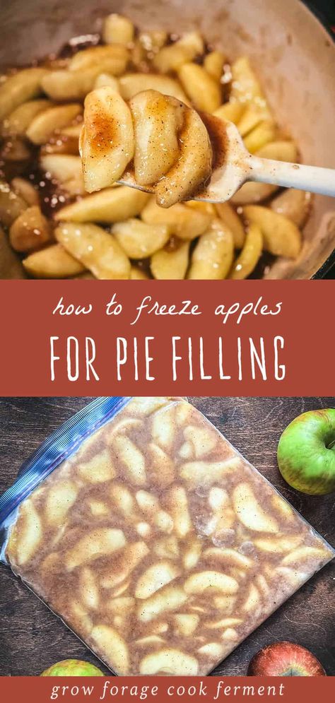 Want to start freezing apples for pie? This guide for make ahead apple pie filling is one the best, easy apple recipes for fall. This method preserves the freshness and flavor of apples, making baking homemade apple pie a piece of cake! Made without cornstarch, this simple apple pie filling is thickened with arrowroot powder. Find more easy fall recipes, fall seasonal foods, and long term food storage at growforagecookferment.com. Freeze Apple Pie Filling, Apples For Pie, How To Freeze Apples, Freezer Apple Pie, Freezing Apple Pie, Freeze Apples, Freezer Apple Pie Filling, Quick Apple Pie, Easy Apple Pie Filling