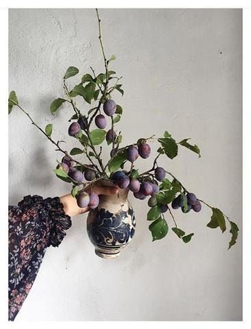 Elsie Green, Table Decorating, Beautiful Fruits, Decorating Inspiration, Ikebana, Plant Life, Flower Power, Floral Wedding, House Plants