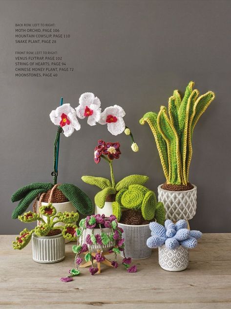 Crocheted Houseplants features 25 stylish projects to revive your home or office décor and create a lush indoor garden. Flip through the stylish gallery pages, pick your favourite plants and get started. Useful Crochet Projects, Useful Crochet, Crochet Garden, Crochet Cactus, Easy Crochet Projects, Basic Crochet, Crochet Plant, Crochet Home Decor, Crochet Cross