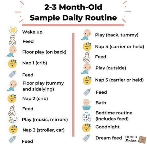 2 Month Old Routine, Routine For 3 Month Old Baby, Sample 3 Month Old Schedule, 2 Month Old Bedtime Routine, 2 Month Old Schedule Daily, 3 Month Old Routine, 2 Month Old Schedule, 3 Month Old Schedule, Advice For New Parents