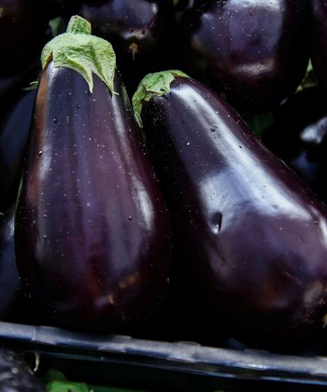 Vegetable Photos, Vegetables Aesthetic, Pig Drawing, Farmer's Market, Still Life Painting, Fruits And Veggies, Deep Purple, Farmers Market, Eggplant