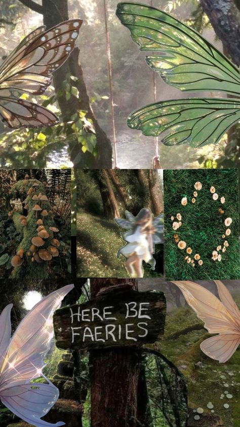 #fai #fairies #fairy #fairytale #fairies #fairyaesthetic #fairygarden #fairygrunge #fairyaesthethic #fairymoodboard #fairyland #fae #faeries #faerie #faeriecore #faecore #faeaesthetic Faerie Soiree Aesthetic, Cara Core, Fairy Gathering, Fae Core, Fairy Real, Faerie Soiree, Elemental Beings, Faerie House, Faerie Core