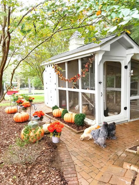 Keep Chickens Out Of Garden, Diy Wood Star, How To Keep Chickens, Coop Decor, Happy Day Farm, Cute Chicken Coops, Chicken Coop Decor, Cottage Journal, Chicken Coup