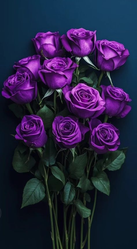 Purple Rose Aesthetic, Purple Roses Wallpaper, Dark Purple Roses, Wallpaper Para Iphone, Botanical Aesthetic, Music And The Brain, God Angels, Purple Aesthetics, Dark Purple Flowers