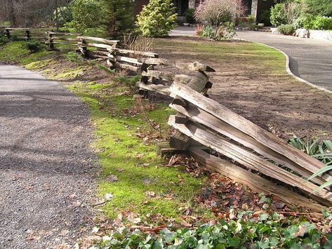 Snake Fence, Cedar Split Rail Fence, Log Fence, Cedar Furniture, Split Rail Fence, Country Fences, Small Fence, Rustic Fence, Concrete Fence